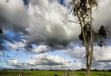 C7娱乐:能否延续胜利?多特蒙德对弗赖堡已取得六连胜.