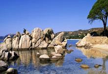 C7娱乐:乒乓球在德火热,法兰克福资深球迷:看比赛就像看演唱会环球时报.